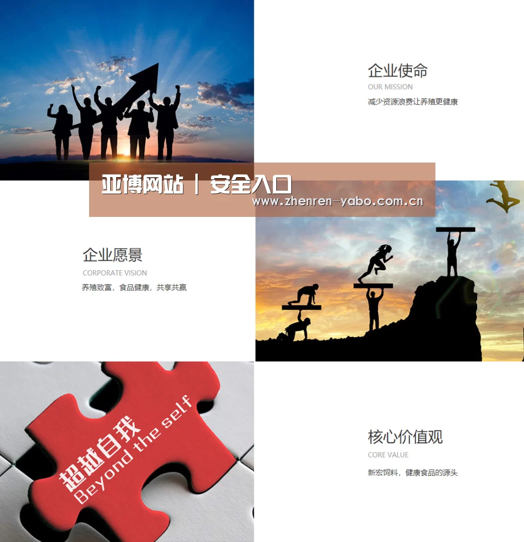 企业文化(图1)